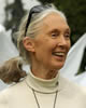 jane goodall